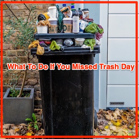 What to do if you missed trash day